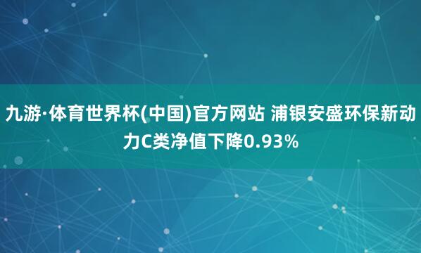 九游·体育世界杯(中国)官方网站 浦银安盛环保新动力C类净值下降0.93%