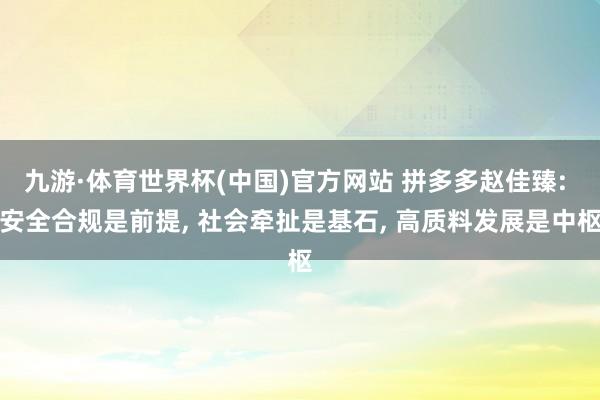 九游·体育世界杯(中国)官方网站 拼多多赵佳臻: 安全合规是前提, 社会牵扯是基石, 高质料发展是中枢