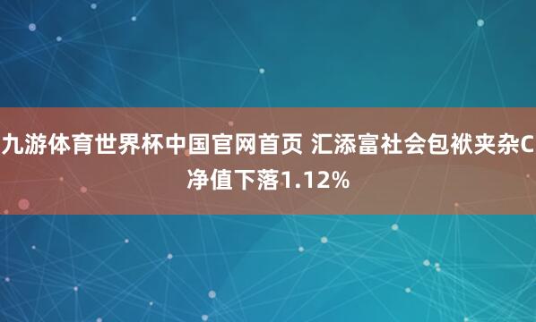 九游体育世界杯中国官网首页 汇添富社会包袱夹杂C净值下落1.12%