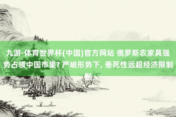 九游·体育世界杯(中国)官方网站 俄罗斯农家具强势占领中国市集? 严峻形势下， 垂死性远超经济限制