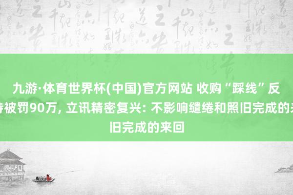 九游·体育世界杯(中国)官方网站 收购“踩线”反把持被罚90万， 立讯精密复兴: 不影响缱绻和照旧完成的来回