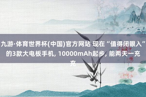 九游·体育世界杯(中国)官方网站 现在“值得闭眼入”的3款大电板手机, 10000mAh起步, 能两天一充