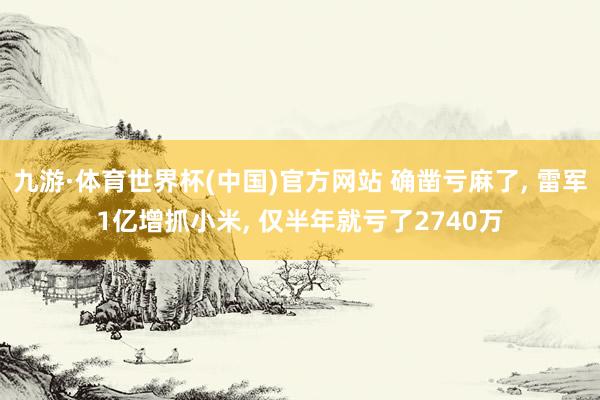 九游·体育世界杯(中国)官方网站 确凿亏麻了， 雷军1亿增抓小米， 仅半年就亏了2740万