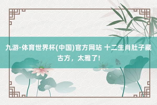 九游·体育世界杯(中国)官方网站 十二生肖肚子藏古方,太雅了!
