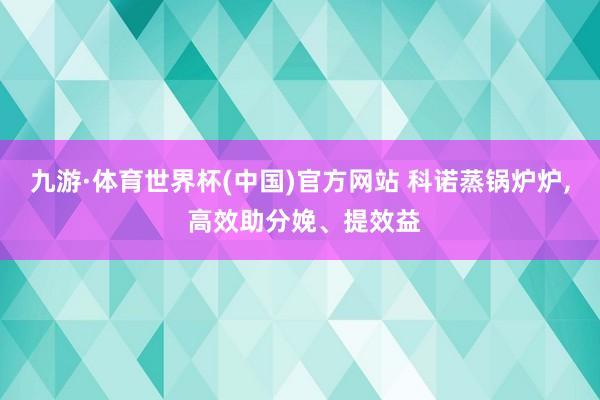 九游·体育世界杯(中国)官方网站 科诺蒸锅炉炉， 高效助分娩、提效益