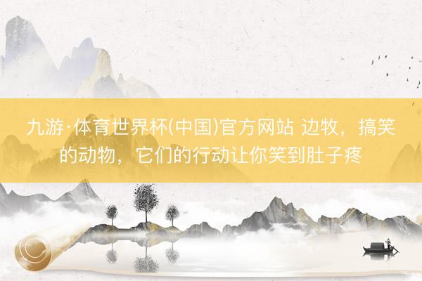九游·体育世界杯(中国)官方网站 边牧，搞笑的动物，它们的行动让你笑到肚子疼